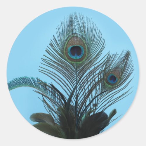 Elegant Peacock Sticker turquoise