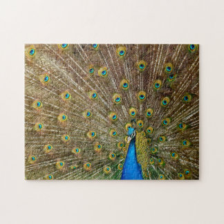 Elegant Peacock Tail Feathers  Jigsaw Puzzle