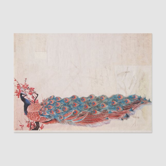 Elegant Peacock Tissue Paper (Front)