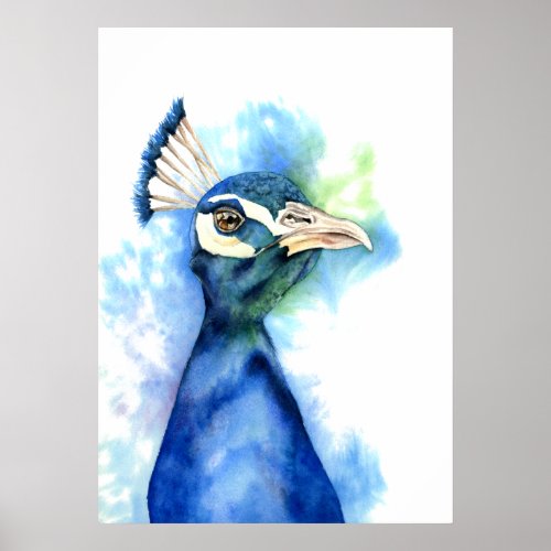 Elegant Peacock Watercolor Painting Poster