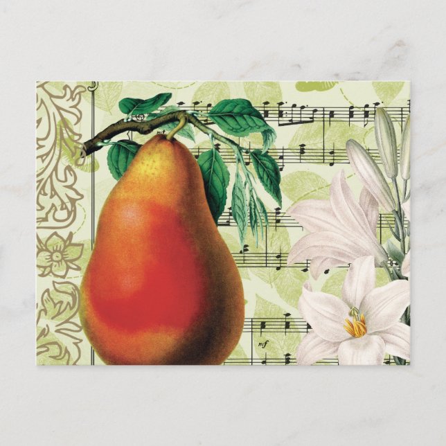 Elegant Pear Postcard (Front)