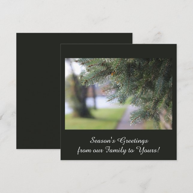 Elegant Personalized Evergreen Branches Dark Green Holiday Card (Front/Back)