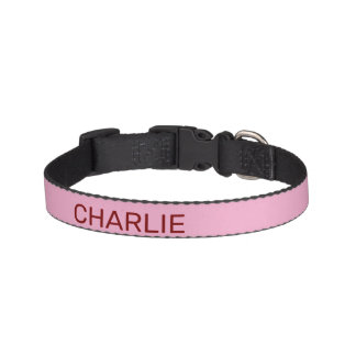 Elegant Personalized Trendy Cute Aesthetic Pet Collar