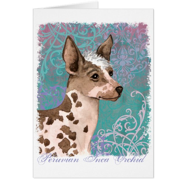 Elegant Peruvian Inca Orchid Card (Front)