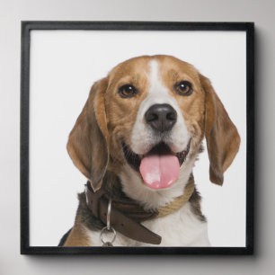 ELegant Pet Dog Photo Custom Peel And Stick Photo Tile