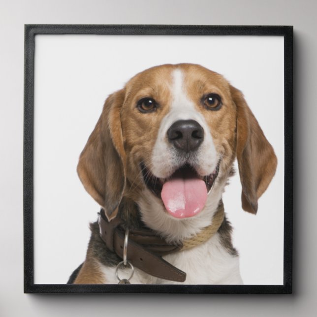 ELegant Pet Dog Photo Custom Peel And Stick Photo Tile (Front Set)
