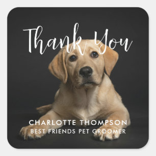 Elegant Pet Groomer Thank You Sticker