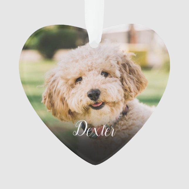 Elegant Pet Loss Cat Dog Photo Memorial Ornament (Front)