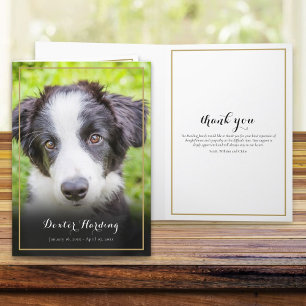 Elegant Pet Loss Sympathy Photo Letterpress Thank You Card