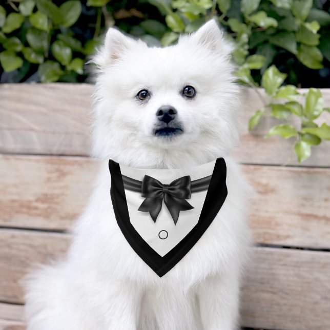 Elegant pet tuxedo black bowtie wedding adjustable pet bandana collar (Dog)