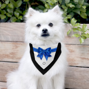 Elegant pet tuxedo blue bowtie wedding  bandana collar