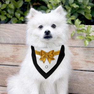 Elegant pet tuxedo gold bowtie wedding  bandana collar