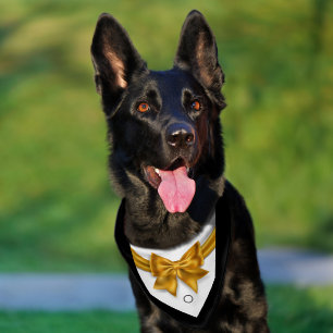 Elegant pet tuxedo gold bowtie wedding large pet bandana collar