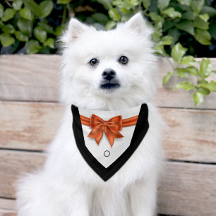 Elegant pet tuxedo orange bowtie wedding  bandana collar
