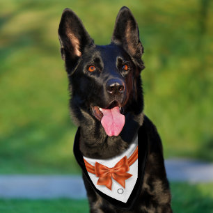 Elegant pet tuxedo orange bowtie wedding large bandana collar