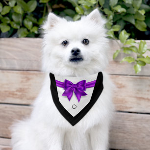 Elegant pet tuxedo purple bowtie wedding  bandana collar
