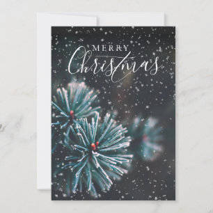 Elegant Photo Merry Christmas Fir Bough Snow Holiday Card