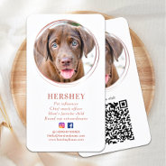 Elegant Photo Rose Gold Dog Pet Social Media Business Card at Zazzle