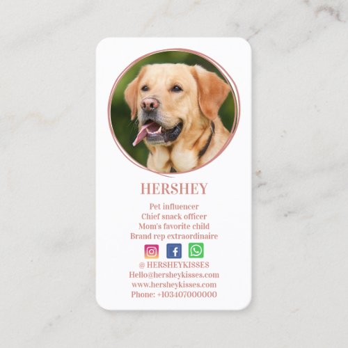 Elegant Photo Rose Gold Dog Pet Social Media Business Card