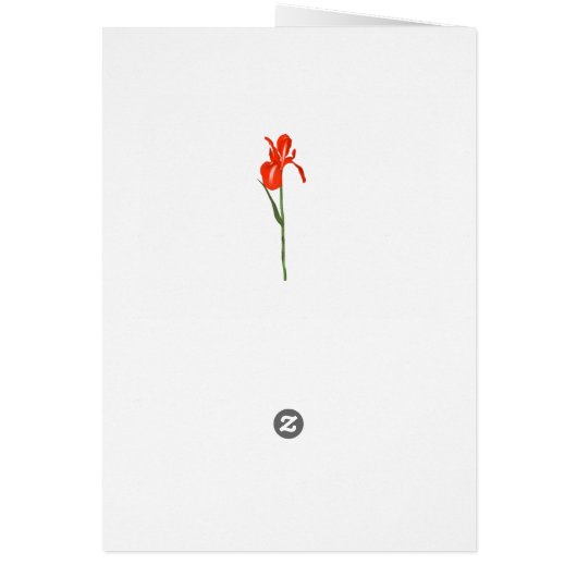 Elegant Photo Thank You for Your Sympathy (Back)