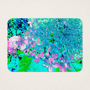 Elegant Pink and Blue Limelight Hydrangea