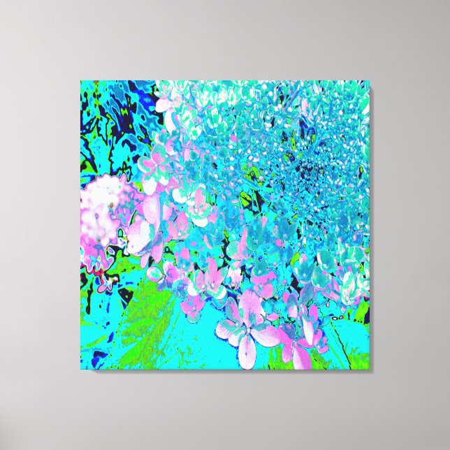 Elegant Pink and Blue Limelight Hydrangea Canvas Print (Front)