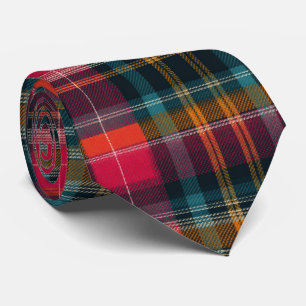 Elegant Pink and Blue Plaid Gingham Pattern Neck Tie