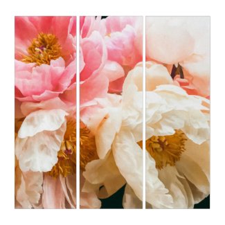 Elegant Pink and Cream Peonies Triptych