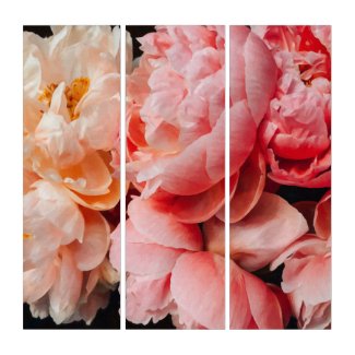Elegant Pink and Peach Peonies Triptych