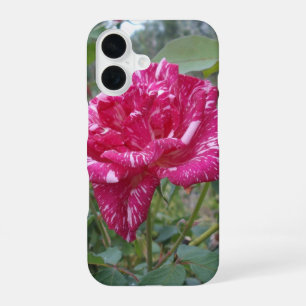 Elegant Pink And White Striped Rose, iPhone 16 Case