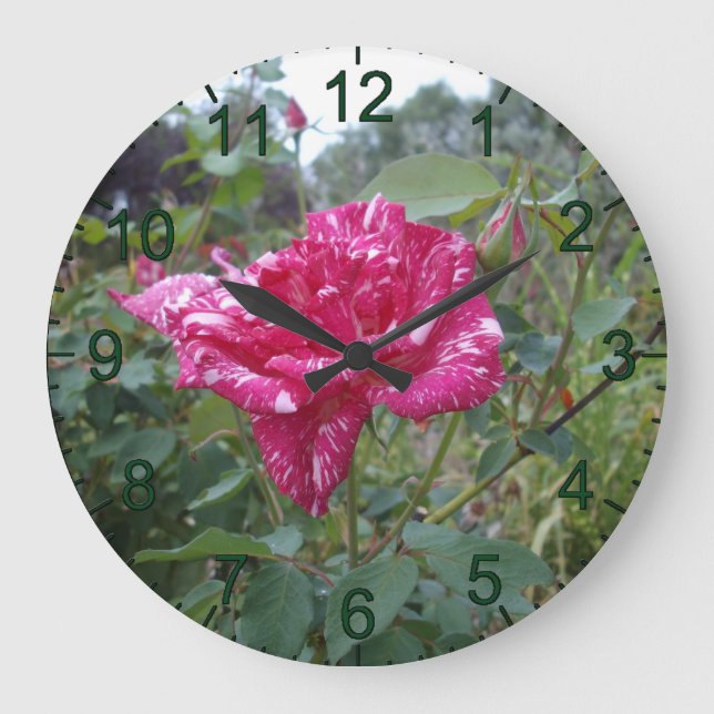 Elegant Pink And White Striped Rose, Wall Clock (Front)