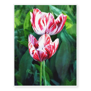 Elegant Pink And White Striped Tulips Temporary Tattoos