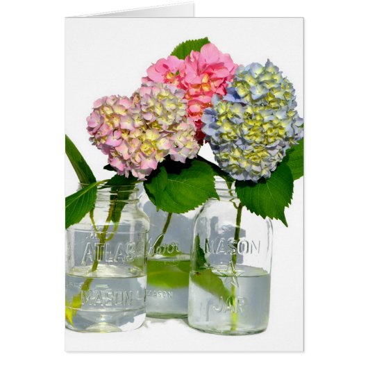 Elegant pink blue green floral hydrangea (Front)