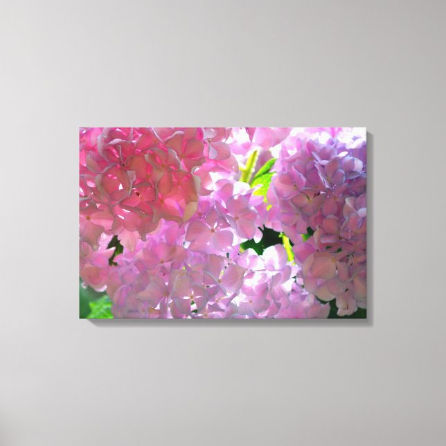 Elegant pink boho florals flowers hydrangeas canvas print (Front)