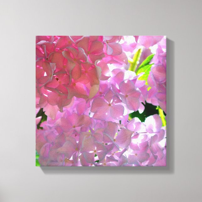 Elegant pink boho florals flowers hydrangeas canvas print (Front)