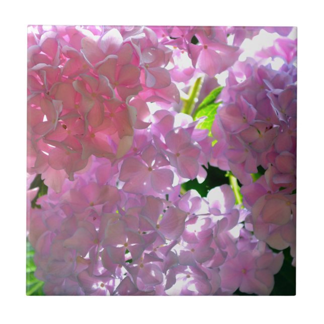 Elegant pink boho florals flowers hydrangeas ceramic tile (Front)