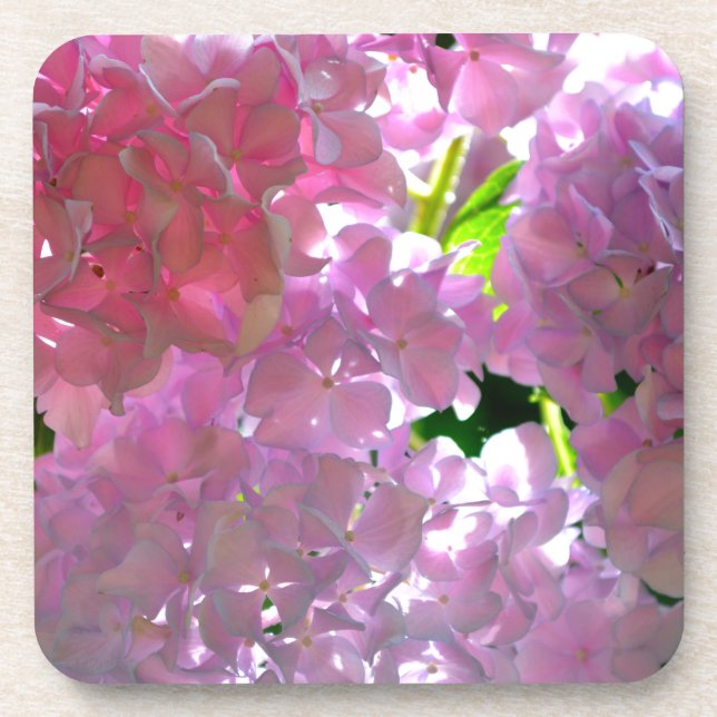 Elegant pink boho florals flowers hydrangeas coaster (Front)