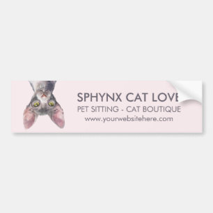 Elegant Pink Canadian Sphynx Cat Car Bumper Sticker