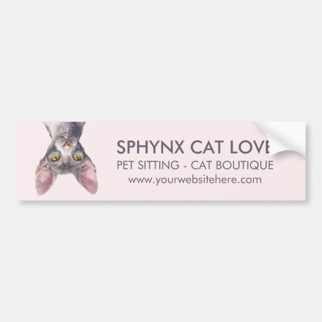 Elegant Pink Canadian Sphynx Cat Car Bumper Sticker