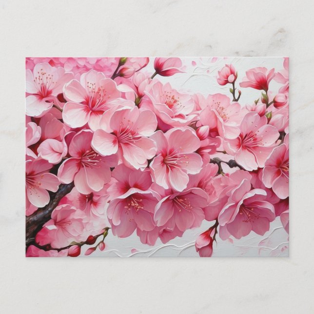 Elegant Pink Cherry Blossom Flowers Postcard (Front)