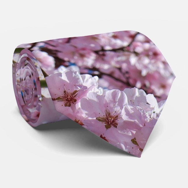 elegant pink cherry blossom tree photograph neck tie (Rolled)