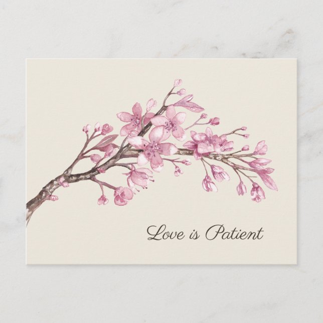 Elegant Pink Cherry Blossom Wedding Postponement Announcement Postcard (Front)