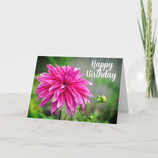 Elegant Pink Dahlia Garden Flower Card