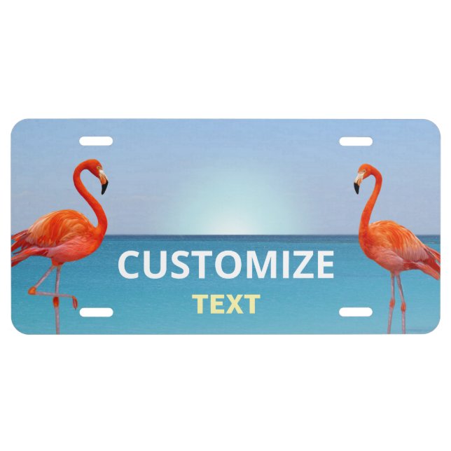 Elegant Pink Flamingos on Light Blue License Plate (Front)