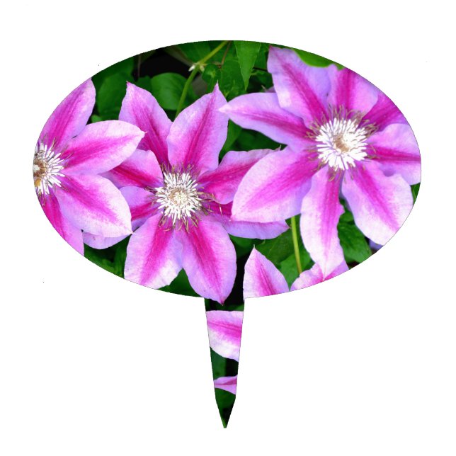 Elegant pink floral boho greenery cake topper (Front)