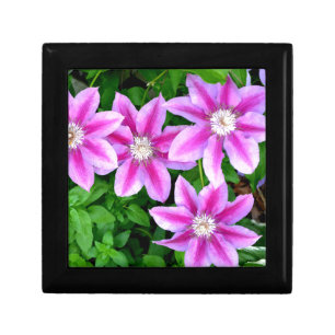 Elegant pink floral boho greenery jewelry box