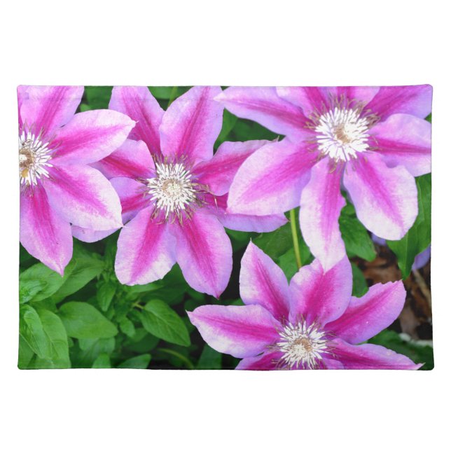 Elegant pink floral boho greenery placemat (Front)