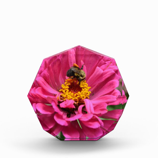 Elegant Pink Floral Bumble bee Award (Front)