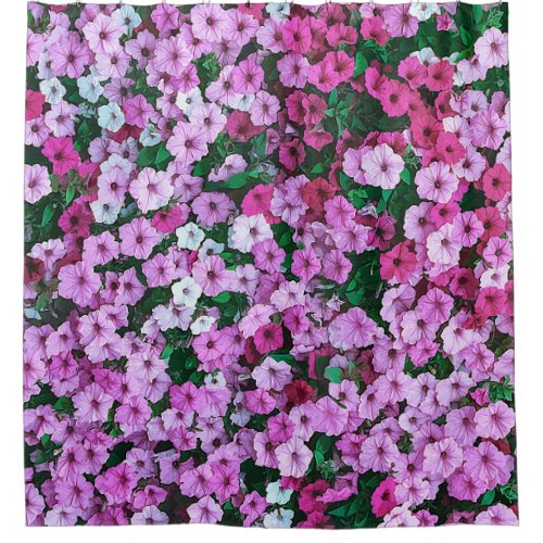 Elegant Pink Floral Daisies Acrylic Artwork  Shower Curtain