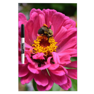 Elegant pink floral flower mum daisy honeybee dry erase board
